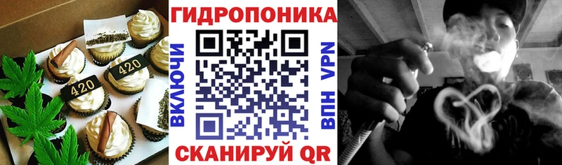 наркота  Дно  Cannafood конопля 