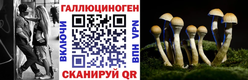 Псилоцибиновые грибы мицелий  Дно 